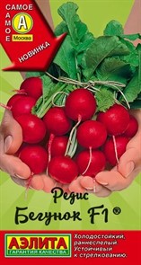 Редис Бегунок Редис Бегунок