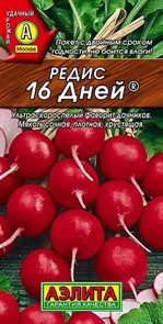 Редис 16 дней 4гр Аэлита Редис 16 дней 4гр Аэлита