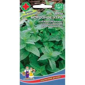 Мята Морозное утро 0,05гр Ур. дачник Мята Морозное утро 0,05гр Ур. дачник