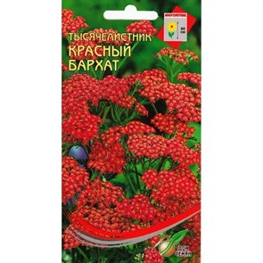 Тысячелистник Красный бархат 250шт Дом семян Тысячелистник Красный бархат 250шт Дом семян