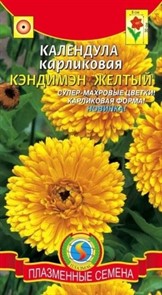Календула Кэндимэн Желтый Плазм карлик, супермахр, 30см Календула Кэндимэн Желтый Плазм карлик, супермахр, 30см
