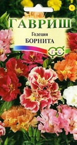 Годеция Борнита 0,1г ГШ Годеция Борнита 0,1г ГШ