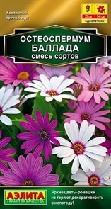Остеоспермум Баллада смесь сортов 10шт Аэлита Остеоспермум Баллада смесь сортов 10шт Аэлита