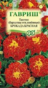 Бархатцы Брокада красная отклон. 0,3гр ГШ Бархатцы Брокада красная отклон. 0,3гр ГШ