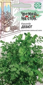 Кориандр Дебют 2гр ГШ