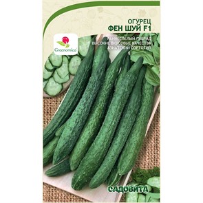 Огурец Фен шуй F1 5шт Greenomica/Садовита