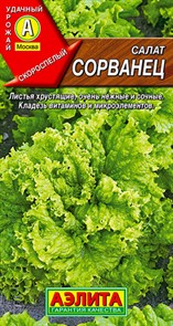 Салат Сорванец листовой 0,5гр Аэлита Салат Сорванец листовой 0,5гр Аэлита