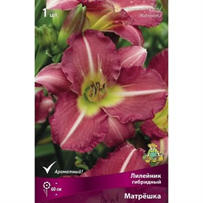 Лилейник гибридный Матрёшка/К Поиск Лилейник гибридный Матрёшка/К Поиск