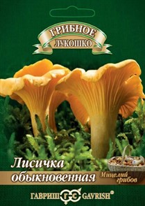 Лисичка обыкновенная 15мл ГШ