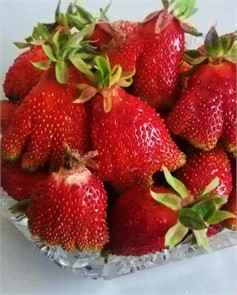 Клубника Купчиха