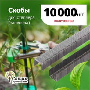 Скобы д/ степлера (тапенера) 'Урожайная сотка' 10 000 шт SC-8901