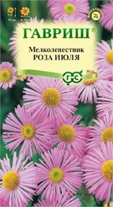 Мелколепестник (Эригерон) Роза июля Гавриш