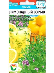 Тимьян Лимонадный взрыв СС