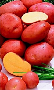 Картофель фермерский Люкс +/- 10% 3кг