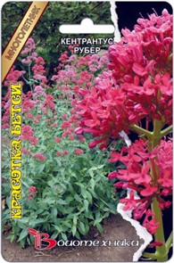 Кентрантус рубер Красотка Бетси 30шт Боитехника