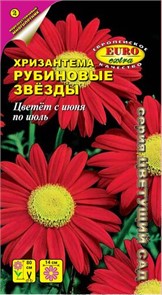 Хризантема Рубиновые звезды многолетн,80см Аэлита