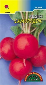 Редис Самородок 16дн Цв.сад