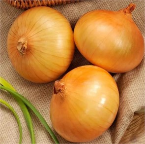 Лук-севок Сеншуй Йеллоу Глоуб 1кг +/-10% Лук-севок Сеншуй Йеллоу Глоуб 1кг +/-10%