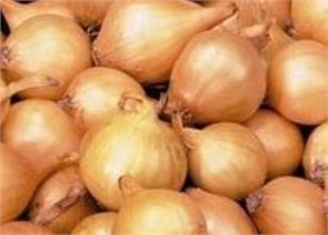 Лук-севок Свифт 1кг Лук-севок Свифт 1кг