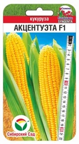 Кукуруза Акцентуэта F1 5шт Сиб Сад