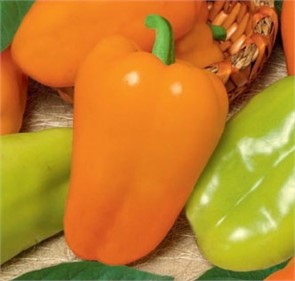 Перец сладкий Чародей F1 0,1гр Седек