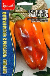 Перец сладкий Галактика (Galaxy) 5шт ЧК