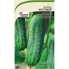 Огурец Кустовой 10шт Садовита