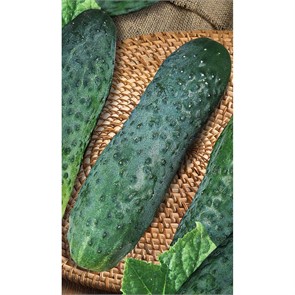 Огурец Феникс плюс 10 шт Садовита