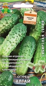 Огурец Алтай/Сибирская серия 15шт Поиск