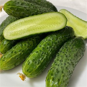 Огурец Полан F1 10шт ЧК