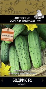 Огурец Бодрик F1/Домашняя заготовка 12шт Поиск