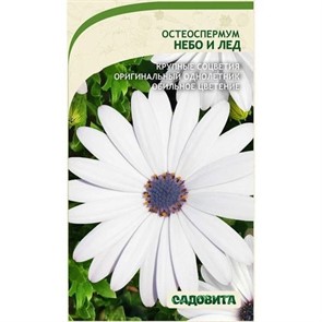 Остеоспермум Небо и лед 0,1гр Садовита