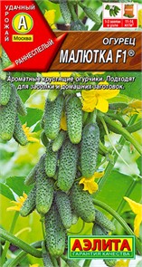 Огурец Малютка F1 10шт Аэлита