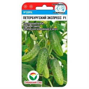 Огурец Петербургский экспресс F1 7шт Сиб Сад