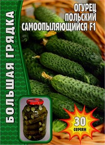 Огурец Польский Самоопыляющийся F1 ВП 20 шт ЧК