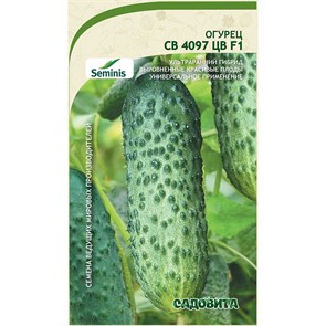 Огурец СВ 4097 ЦВ F1 5шт Seminis/Садовита