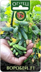 Огурец Воробей 10шт Б/техн