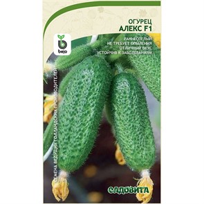 Огурец Алекс F1 5шт Bejo/Садовита