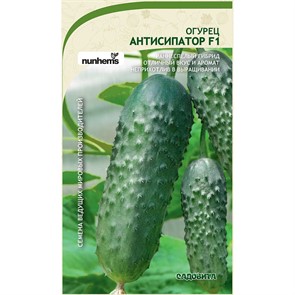 Огурец Антисипатор F1 5шт Nunhems/Садовита