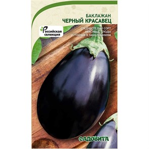 Баклажан Черный красавец 0,3гр Садовита