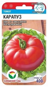 Томат Карапуз 20шт СС