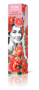 {{productViewItem.photos[photoViewList.activeNavIndex].Alt || productViewItem.photos[photoViewList.activeNavIndex].Description || 'Роза флорибунда Роз де Систэрсьян Садовита кор.'}}