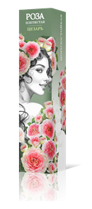 {{productViewItem.photos[photoViewList.activeNavIndex].Alt || productViewItem.photos[photoViewList.activeNavIndex].Description || 'Роза плетистая Цезарь Садовита кор.'}}