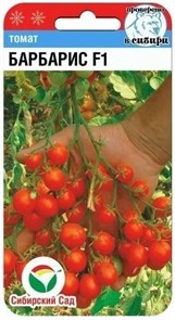 Томат Барбарис F1 15шт СС