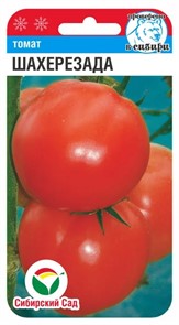 Томат Шахерезада 20шт Сиб сад