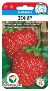 Земляника Зефир 10шт СС