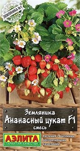 Земляника Ананасный цукат F1 5шт Аэлита