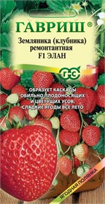 Земляника Элан F1 5 шт Гавриш