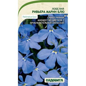 Лобелия Ривьера Марин Блю 10др PA/Садовита