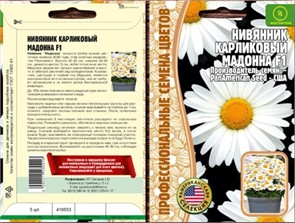 Нивяник карликовый Мадонна 5 шт Григорьев